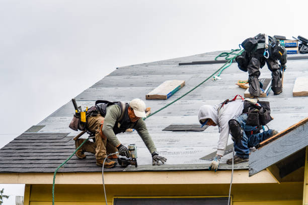 Professional Storm Damage Roof Repair technician working in Mango, FL